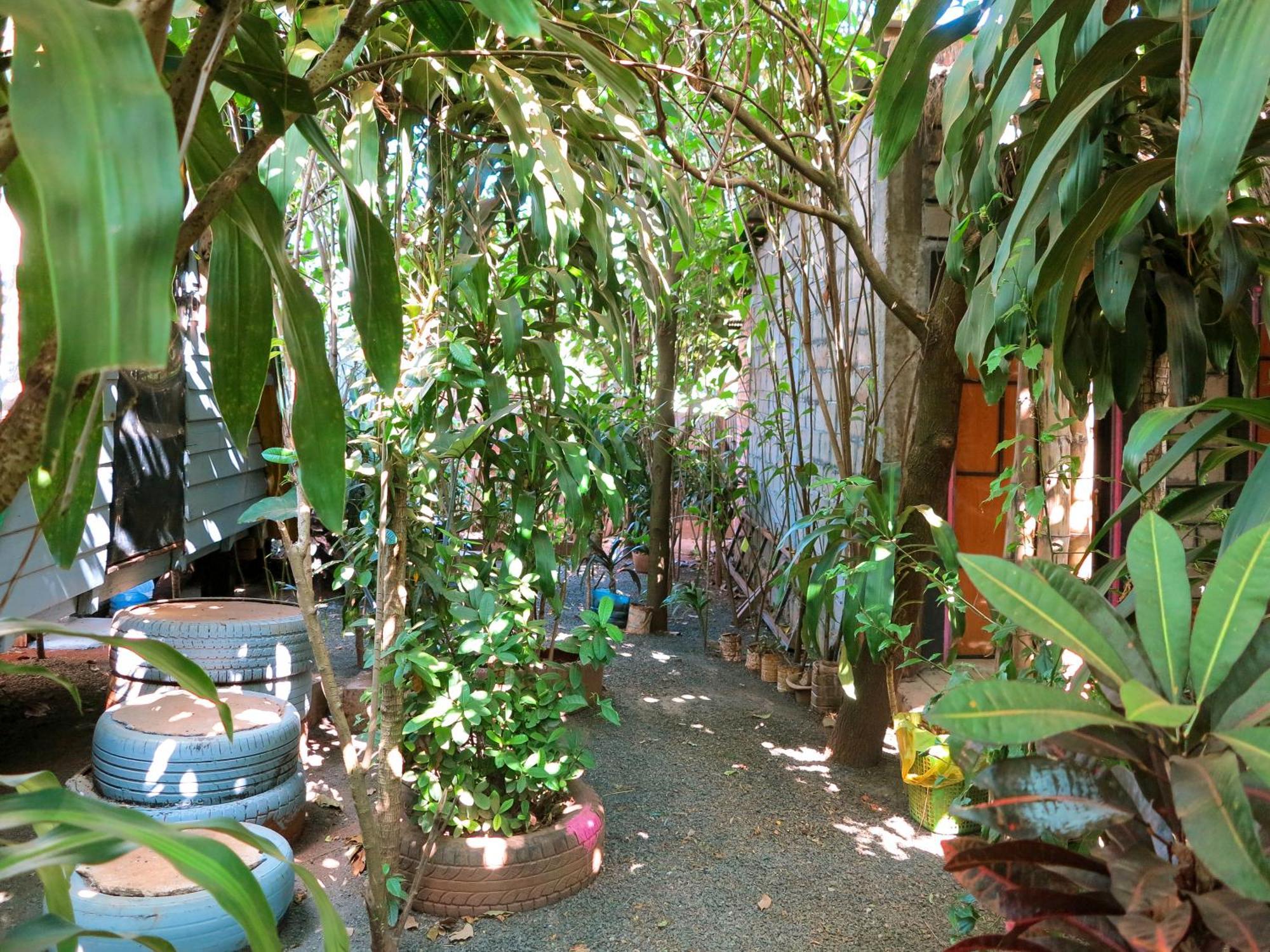 Ratanakiri Homestay & Jungle Trek 반룽 외부 사진